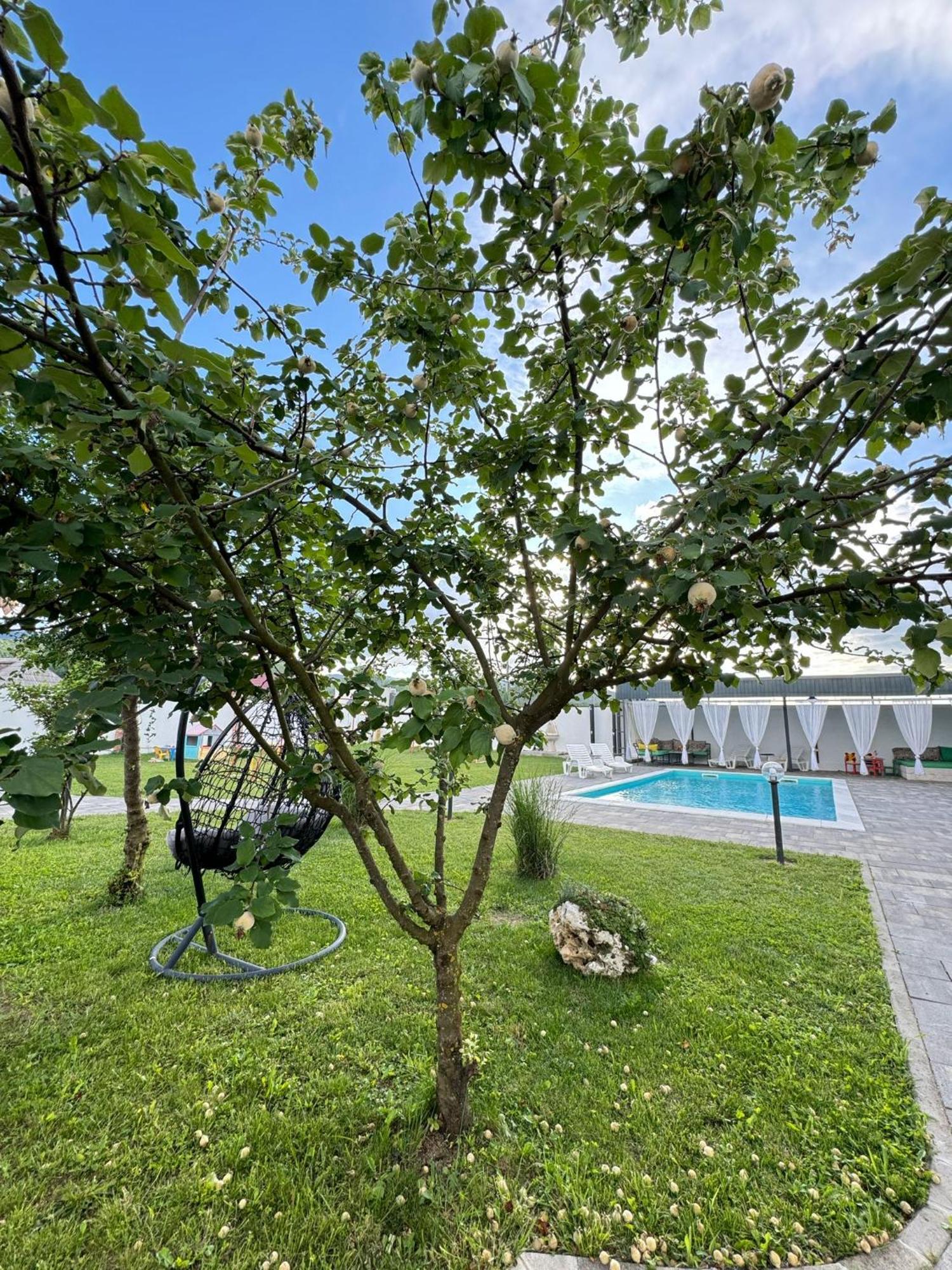 Вилла Family Estate Hadzalova Avlija Бихач Экстерьер фото