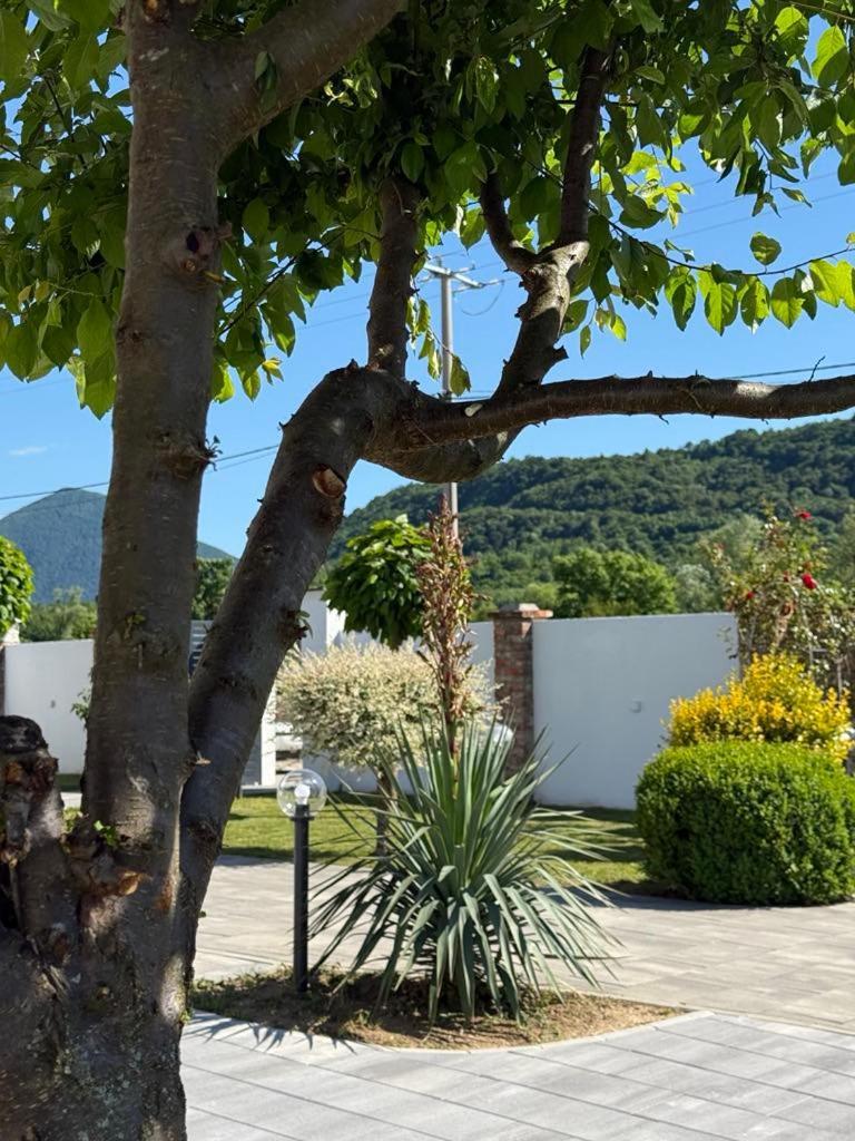Вилла Family Estate Hadzalova Avlija Бихач Экстерьер фото
